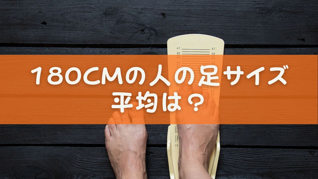 180cmの人の足サイズ平均は？男女別データと靴選びのコツを徹底解説 | 毎日くらしステーション